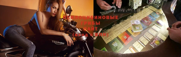винт Алексеевка