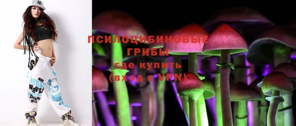 СК Абаза