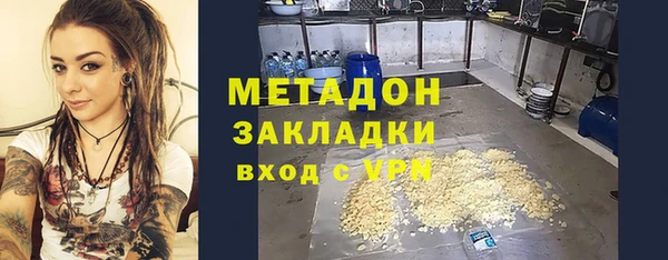 шишки Новозыбков