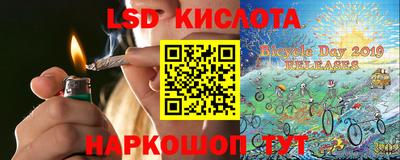 гашик Волжский