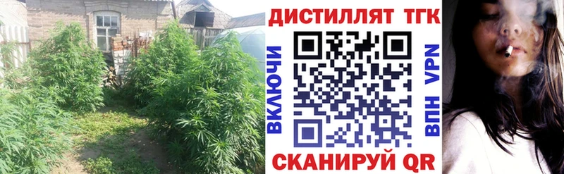ТГК вейп с тгк  mega маркетплейс  Кострома 